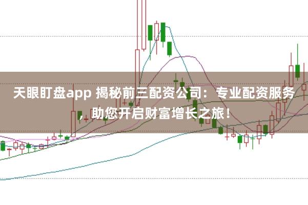 天眼盯盘app 揭秘前三配资公司：专业配资服务，助您开启财富增长之旅！
