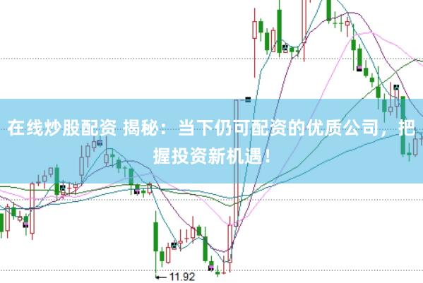 在线炒股配资 揭秘：当下仍可配资的优质公司，把握投资新机遇！