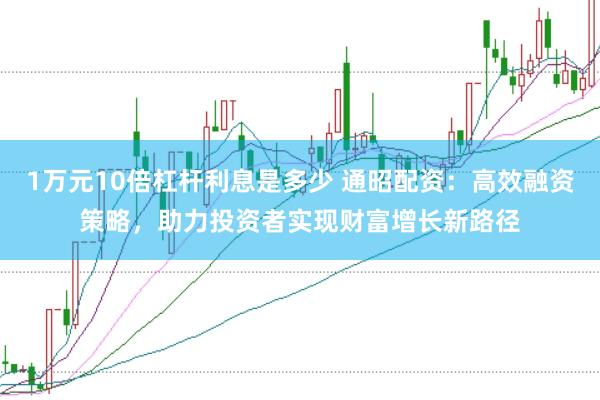 1万元10倍杠杆利息是多少 通昭配资：高效融资策略，助力投资者实现财富增长新路径