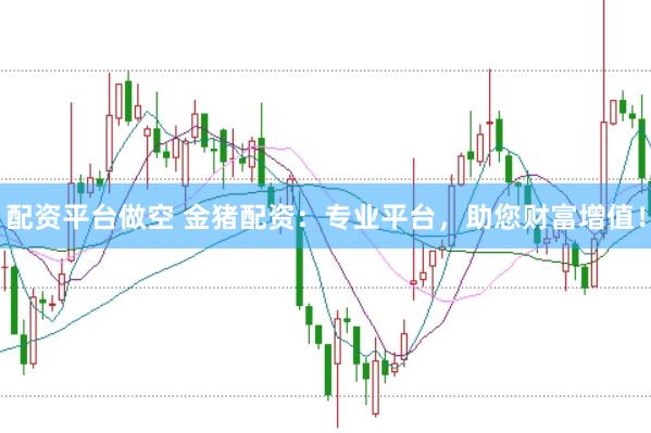 配资平台做空 金猪配资：专业平台，助您财富增值！