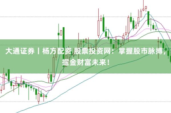 大通证券丨杨方配资 股票投资网：掌握股市脉搏，掘金财富未来！