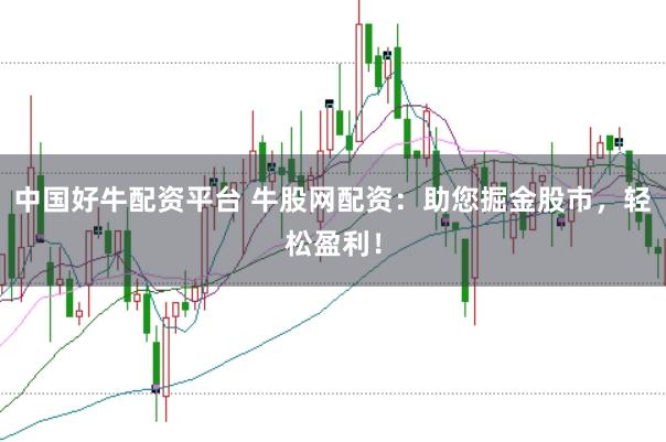 中国好牛配资平台 牛股网配资：助您掘金股市，轻松盈利！