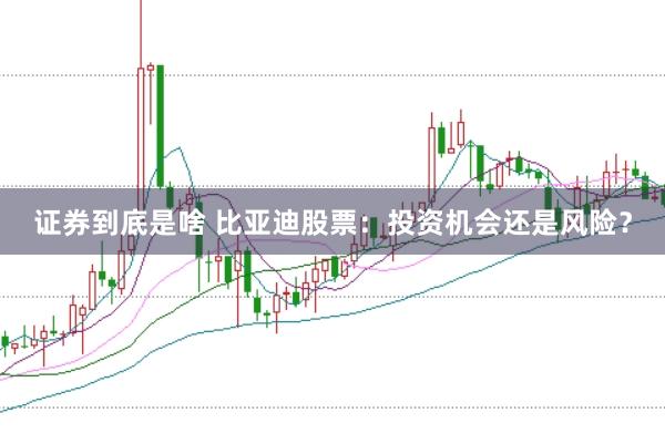 证券到底是啥 比亚迪股票：投资机会还是风险？