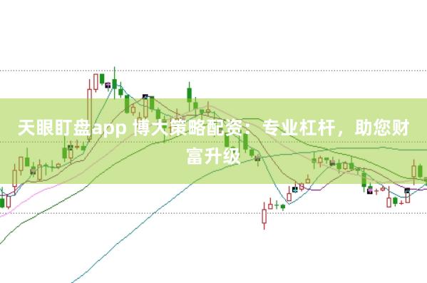 天眼盯盘app 博大策略配资：专业杠杆，助您财富升级