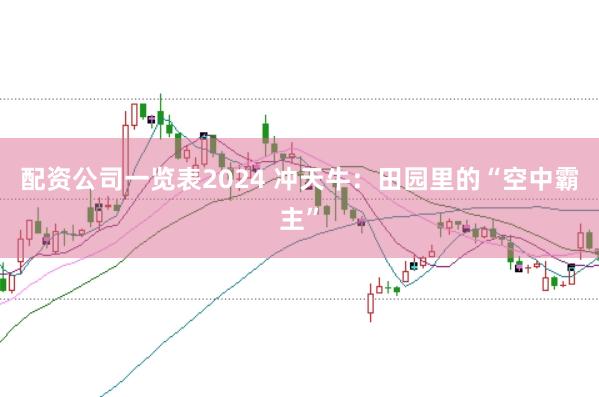 配资公司一览表2024 冲天牛：田园里的“空中霸主”