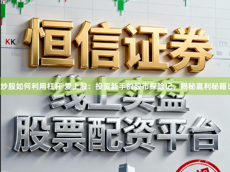 炒股如何利用杠杆 爱上股:投资新手的股市探险记,揭秘赢利秘籍!