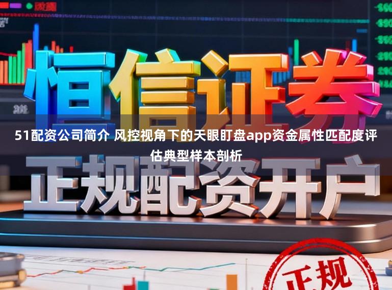 51配资公司简介 风控视角下的天眼盯盘app资金属性匹配度评估典型样本剖析