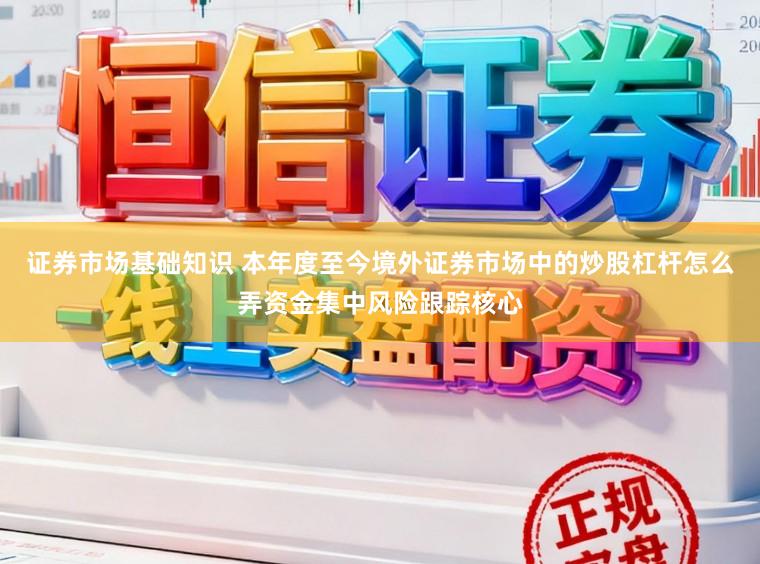 证券市场基础知识 本年度至今境外证券市场中的炒股杠杆怎么弄资金集中风险跟踪核心