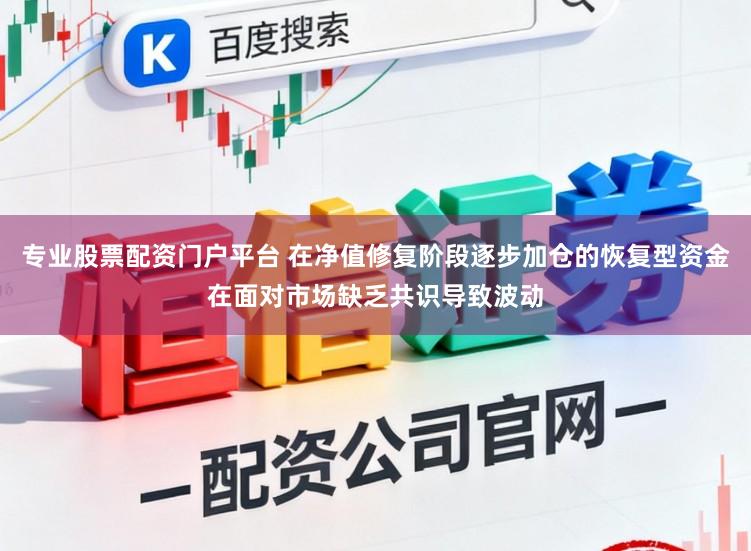 专业股票配资门户平台 在净值修复阶段逐步加仓的恢复型资金在面对市场缺乏共识导致波动